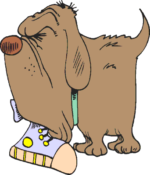 Big dog with a shoe in his mouth